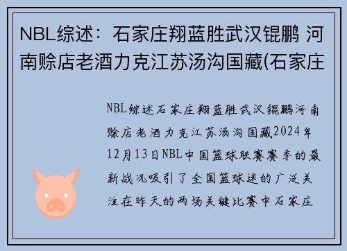 NBL综述：石家庄翔蓝胜武汉锟鹏 河南赊店老酒力克江苏汤沟国藏(石家庄蓝翔团队赛鸽)