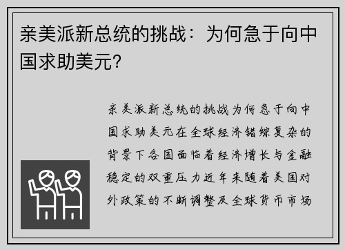 亲美派新总统的挑战：为何急于向中国求助美元？