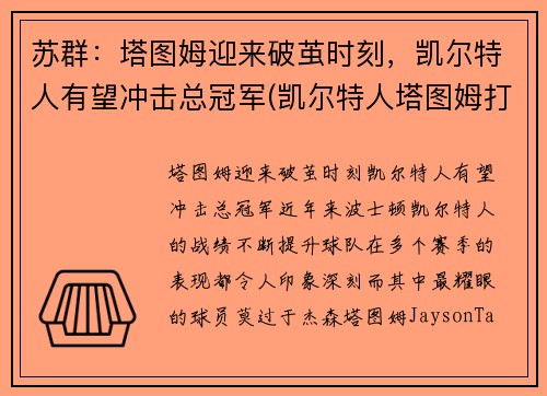 苏群：塔图姆迎来破茧时刻，凯尔特人有望冲击总冠军(凯尔特人塔图姆打中锋可以吗)