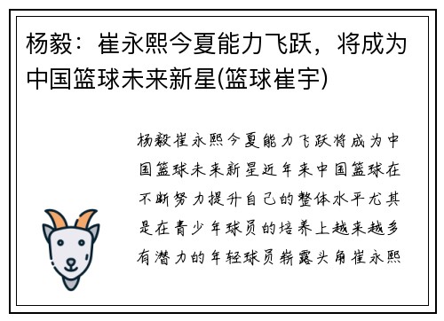 杨毅：崔永熙今夏能力飞跃，将成为中国篮球未来新星(篮球崔宇)