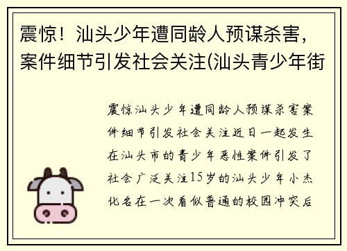 震惊！汕头少年遭同龄人预谋杀害，案件细节引发社会关注(汕头青少年街头斗殴视频)